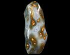 Gorgeous Agate Free Form Sculpture - Lbs #71394-1